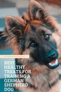 Best healthy treats for training a German Shepherd dog 