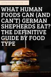 What Human Foods Can (and can’t) German Shepherds Eat? The Definitive Guide by Food Type